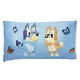 thumbnail image 1 of Licensed Character Kids Body Pillow, 18" x 36", 1 of 3