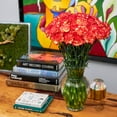 thumbnail image 5 of Member's Mark Carnations, Choose color and stem count, 5 of 5
