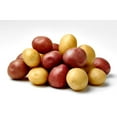 thumbnail image 4 of Creamer Potatoes, 5 lbs., 4 of 6