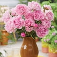 thumbnail image 5 of Member's Mark Peony Sarah Bernhardt Dormant Bulbs, 3pk, 5 of 9