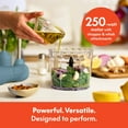 thumbnail image 2 of Bella Immersion Blender System, 2 of 9