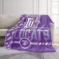 thumbnail image 2 of Logo Brands Duluth High School 60"x70" Super Plush Blanket, 2 of 7