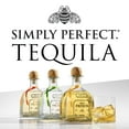 thumbnail image 7 of Patron Silver Tequila, 750 ml, 7 of 8