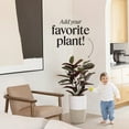 thumbnail image 5 of Dupray Air Purifier with Planter and Custom Walnut Accent Table Design, 5 of 11