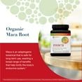 thumbnail image 6 of Youtheory Organic Maca Capsules, 240 ct., 6 of 6