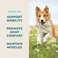 thumbnail image 4 of VETIQ Maximum Strength Hip & Joint Soft Dog Chews, Chicken Flavored, 180 ct., 4 of 10