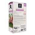 thumbnail image 2 of Member's Mark Gladiolus Large Flowering Blend Dormant Bulbs, 60pk, 2 of 9