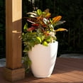 thumbnail image 3 of Mayne Caprio Tall Planter, Choose Size, 3 of 6