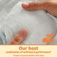 thumbnail image 5 of Member's Mark Premium Baby Diapers, Sizes Newborn - 7, 5 of 11