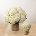 thumbnail image 5 of Member's Mark Hydrangeas, choose color and stem count, 5 of 6