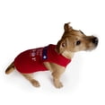 thumbnail image 5 of Free Country Americana Doggy 2-Pack Tees, 5 of 14