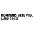 thumbnail image 2 of Saratoga Sparkling Spring Water 28 fl. oz., 12 pk., 2 of 5