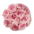 thumbnail image 1 of Member's Mark Garden Roses, 36 stems, Choose color variety, 1 of 6