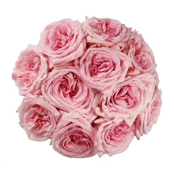 Member's Mark Garden Roses, 36 stems, Choose color variety