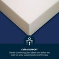thumbnail image 9 of Serta Perfect Sleeper Delfino Nights Pillow Top Mattress (Available in Medium and Firm), 9 of 10