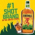 thumbnail image 4 of Fireball Blazin Apple Cinnamon Whisky, 750 ml, 4 of 8