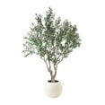 thumbnail image 1 of Member's Mark Faux 8' Deluxe Olive Tree in Oversized Cream Pot, 1 of 5