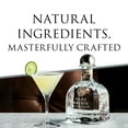 thumbnail image 4 of Patron Gran Platinum Silver Tequila, 750 ml, 4 of 8