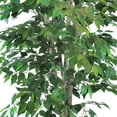 thumbnail image 3 of Faux 7.5' Ficus Tree in Handwoven Basket, 2pk, 3 of 3