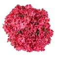 thumbnail image 1 of Member's Mark Alstroemeria, Choose color and stem count, 1 of 1