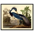 thumbnail image 2 of Louisiana Heron Traditional Canvas Print by Oliver Gal Prints, 2 of 4