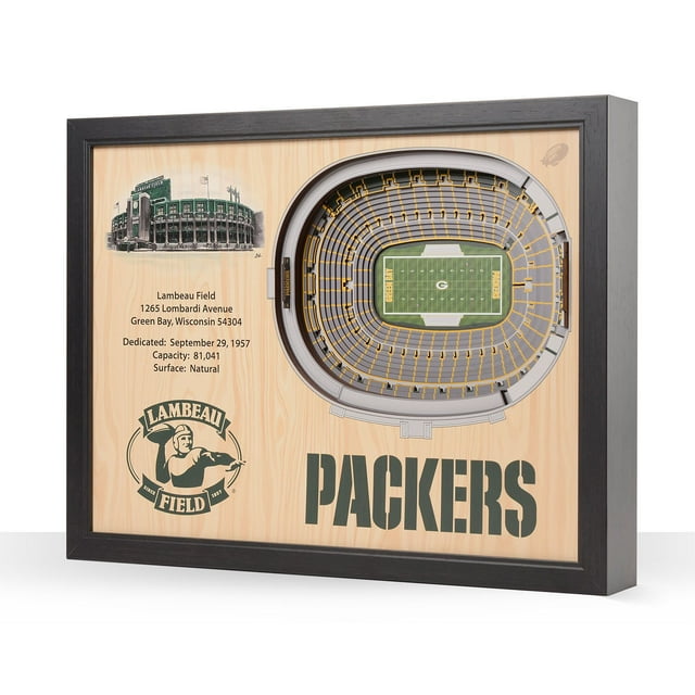 YouTheFan NFL 25.5" x 19.5" 25-Layer Stadium View 3D Wall Art
