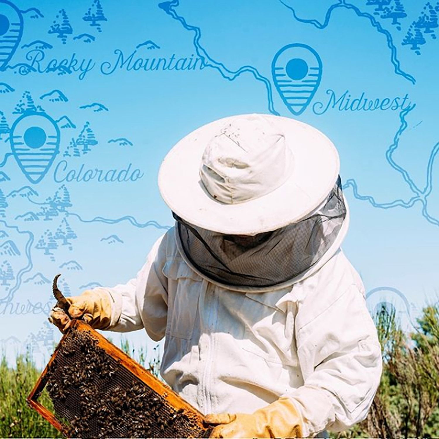 ♡honey♡ Local Hive Florida Raw and Unfiltered Honey, 40 oz. - Samsclub.com