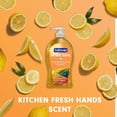 thumbnail image 4 of Softsoap Antibacterial Liquid Hand Soap, 11.25 fl. oz., 4 pk., 4 of 9