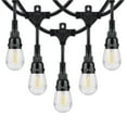 thumbnail image 2 of Honeywell 36' Commercial Grade LED Indoor/Outdoor String Lights, 2 of 7