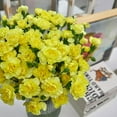 thumbnail image 5 of Member's Mark Mini Carnations, Choose color and stem count, 5 of 6