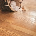 thumbnail image 4 of Traditional Living Golden Amber Oak II Laminate Flooring, 4 of 5