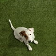 thumbnail image 2 of Select Surfaces Forest Green Artificial Grass, Assorted Sizes, 2 of 4