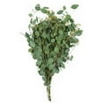 thumbnail image 7 of Member's Mark California Greens Sampler (10 bunches), 7 of 12