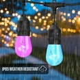 thumbnail image 4 of Westinghouse 24 Bulb Color Changing String Light 48 Foot, 4 of 10