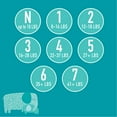 thumbnail image 9 of Member's Mark Premium Baby Diapers, Sizes Newborn - 7, 9 of 10