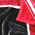 thumbnail image 6 of Logo Brands Atlanta Falcons 60"x70" Super Plush Blanket, 6 of 6