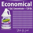 thumbnail image 5 of OdoBan Odor Eliminator and Disinfectant Concentrate, 1 gal., 4 pk., Lavender, 5 of 8
