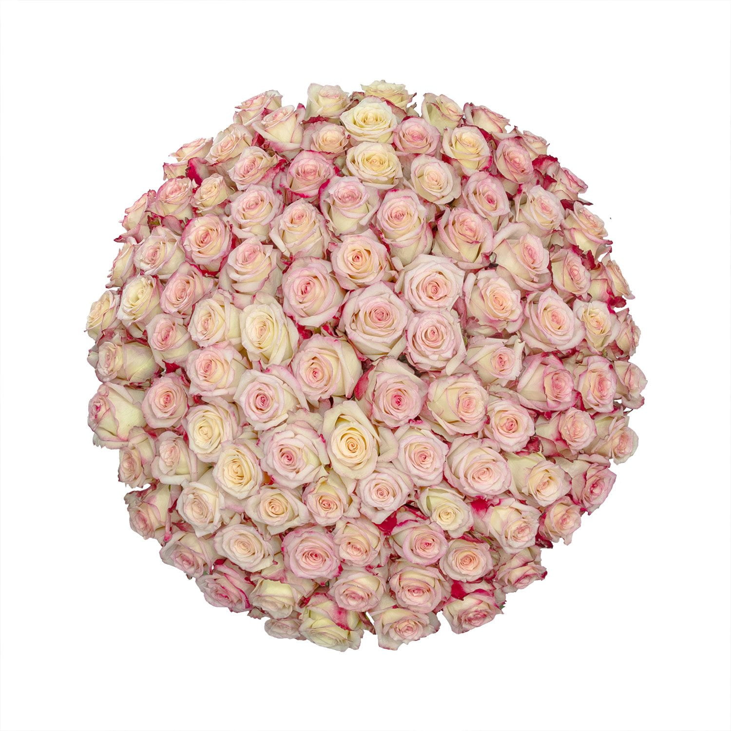 Member's Mark Ecuadorian Premium Roses, choose color variety and stem ...