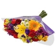 thumbnail image 8 of Member's Mark Jumbo Premium Bouquet, color and variety may vary, 8 of 9