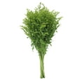 thumbnail image 2 of Member's Mark Golden Glory Solidago 140 stems, 2 of 5