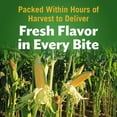thumbnail image 6 of Del Monte Golden Sweet Whole Kernel Corn, 15.25 oz., 8 pk., 6 of 11