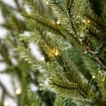 thumbnail image 5 of Member's Mark  7.5' Duchess Fir Pre-Lit Christmas Tree, 5 of 9