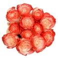thumbnail image 2 of Member's Mark Illusion Roses, 12 stems, 2 of 5