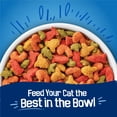 thumbnail image 7 of Purina Friskies Dry Cat Food, Seafood Sensations With Salmon, Tuna, and Shrimp Flavors, 30 lbs., 7 of 11
