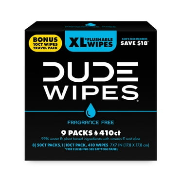 DUDE Wipes Flushable Wipes, Mint Chill, Extra Large - Bristol Farms