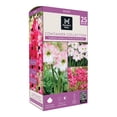 thumbnail image 1 of Member's Mark Garden Amaryllis Pink & Ixia Pink Dormant Bulbs, 25pk, 1 of 10