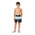 thumbnail image 2 of Member's Mark Boys Resort Swim Trunk, 2 of 14