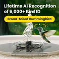 thumbnail image 4 of Birdfy Smart Bird Bath Pro with Stand, 4 of 13