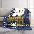 thumbnail image 2 of Logo Brands Notre Dame Fighting Irish 60"x70" Super Plush Blanket, 2 of 7