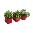thumbnail image 2 of Mayne Valencia 8" Wall Mount Planter, Set of 3, 2 of 10